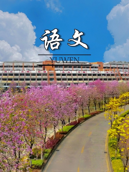 c424cce1-46b3-47bd-9610-c00f922e90f7_s