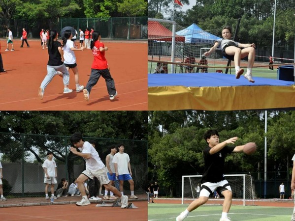 c29d5621-bffc-429b-8fef-3c456e4adc26