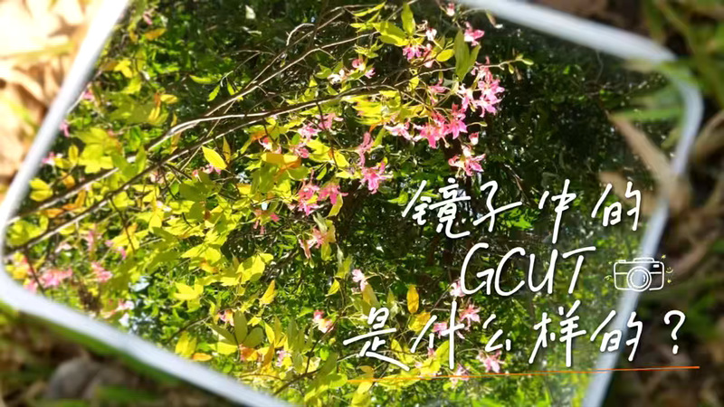 28e4132e-b107-4dd8-a422-6f6ed89fca73_s