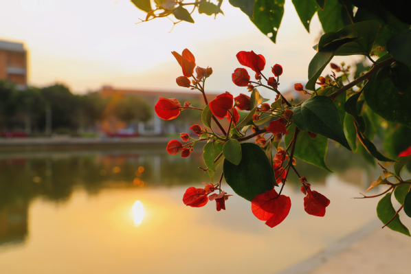 8fcc8f89-816d-4578-8b83-9e8434a66766