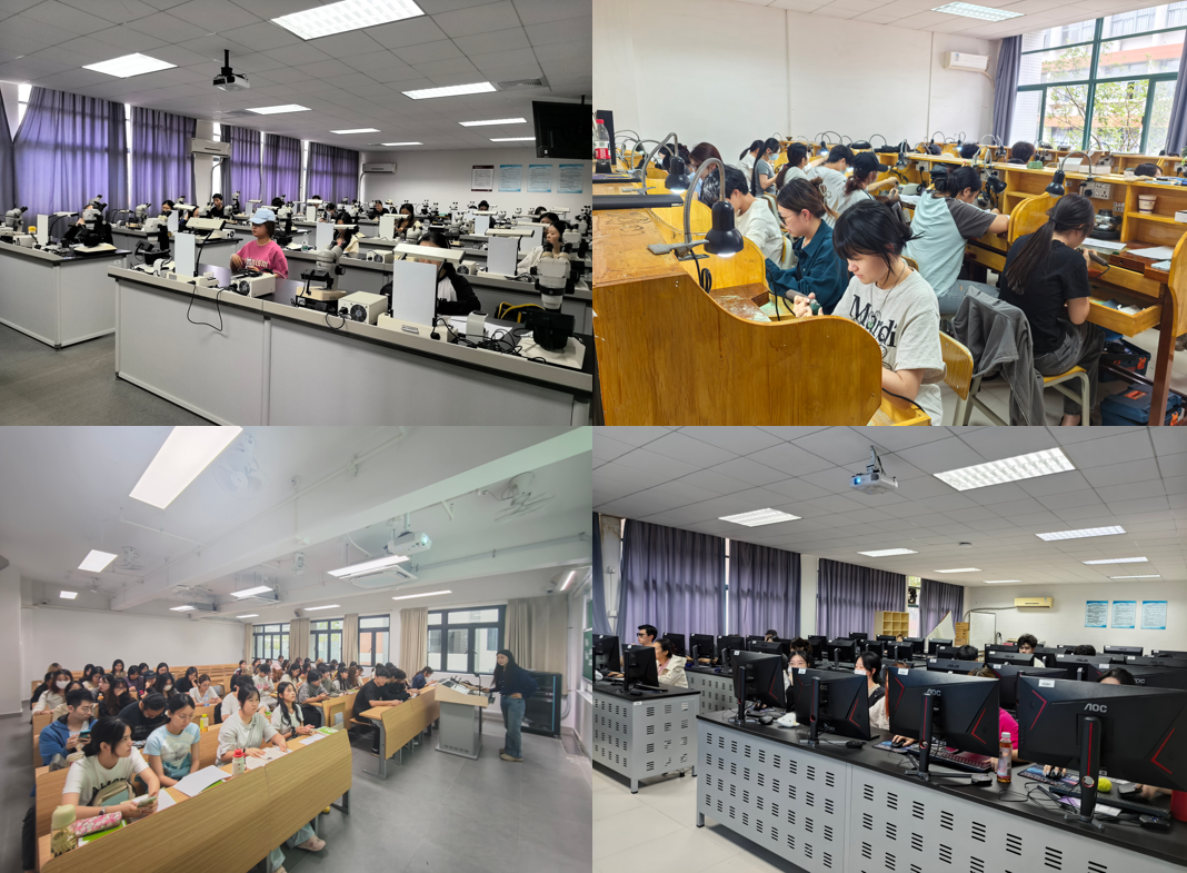 d40da375-801a-488d-85d2-5d416b38af12