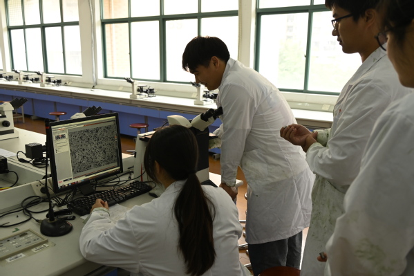 50ba7910-82d5-44b3-83df-ba940935d5c0