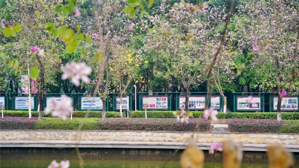 e900f0ef-e6ef-4b27-ae4e-c917a446163c