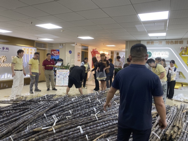 13e5aedb-7016-42fe-9ba2-41f72bc9a7f6