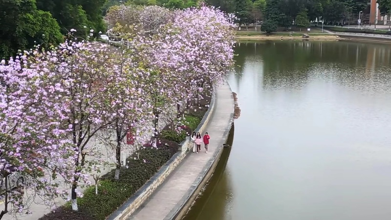 1482c6a8-fada-4ba1-8be5-0cea28a3ea6c_s