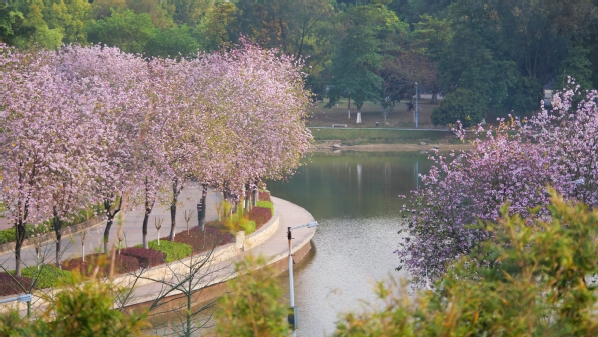 e669b6be-f444-47de-b4df-da6f26474b3f